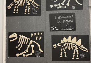 wystawa gotowych szkieletów dinozaurów